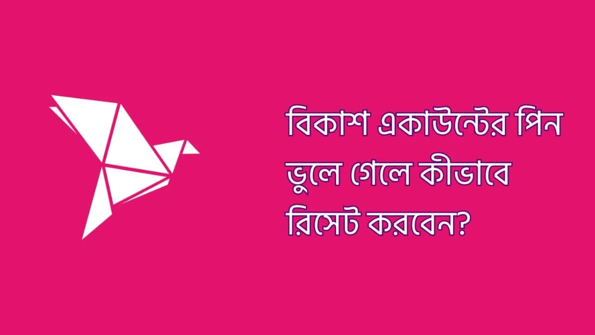 বিকাশ একাউন্টের পিন ভুলে গেলে কীভাবে রিসেট করবেন?